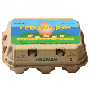Lebafarm Brown Egg X6