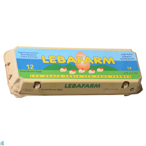Lebafarm Brown Egg X12