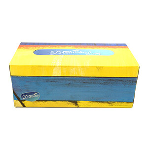 Sanita Dreams Facial Tissues Living 200 Sheets