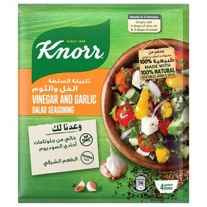 Knorr Vinegar With Garlic Salad Seasoning 10G