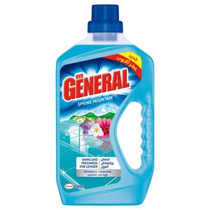 Der General Floor Detergent Spring Mountain 750Ml