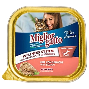 Miglior Gatto Alutray Salmone 100G