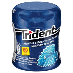 Trident Gum Menthol & Eucalyptus Bottle 60 Pieces 84G