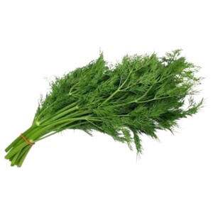 Dill (Aneth)
