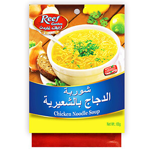Reef Garden Chicken Noodle Soup 65G