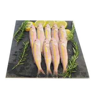 Striped Mullet -السلطان ابراهيم أصفر