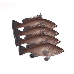 Grouper Rocky Small - لقز صخري صغير