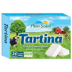 Plein Soleil Tartina Creamy Cheese 24 Squares 400G