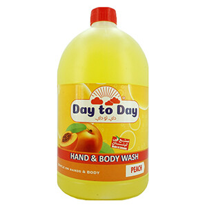 Day To Day H&B Wash Peach 3.8L