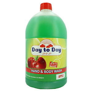 Day To Day H&B Wash Apple 3.8L