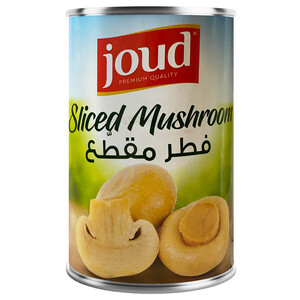 Joud Mushroom Pieces 400G