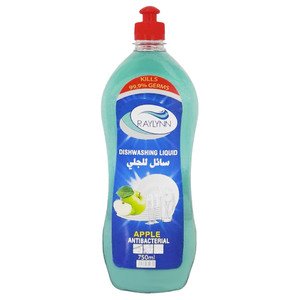 Raylynn Dishwashing Liquid Apple 750Ml