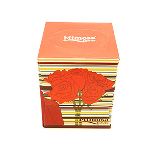 Mimosa Cubes *24