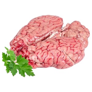Sheep Brain - نخاع غنم