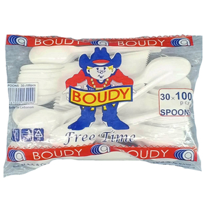 Boudy Plastic Spoons 100 Pieces