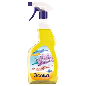 Sanita Glass Cleaner 650Ml
