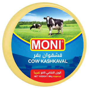 Moni Kashkaval Cow