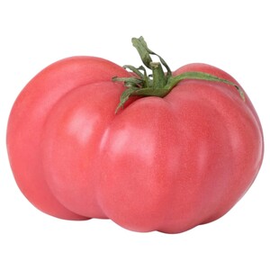Tomato Zahriye