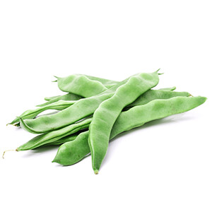 Flat Beans Local لوبية بلدية