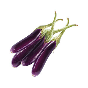 Eggplant Long - باذنجان طويل