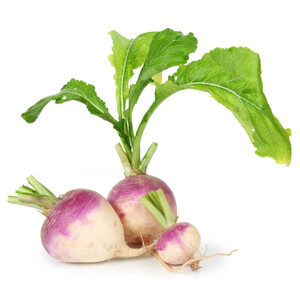 Turnip (Left)