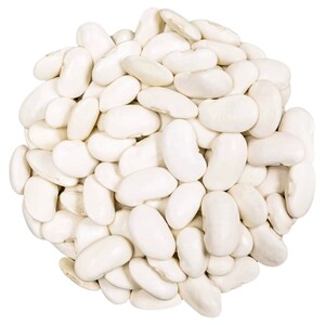 Fassolia Aarida
