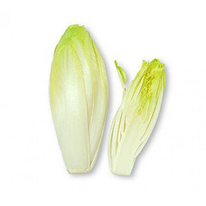 Endive