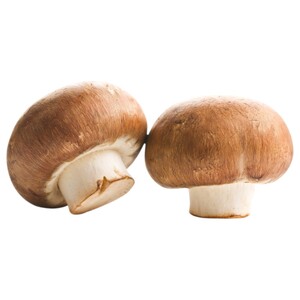 Mushroom Brown