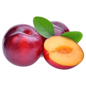 Red Plum