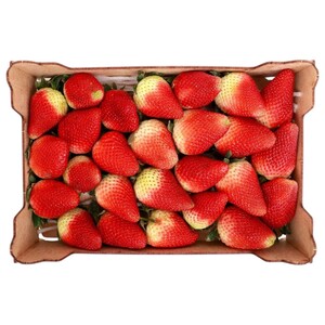 Strawberry Large Box