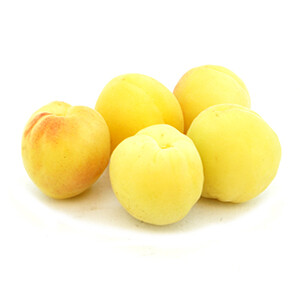 Apricot Ajami