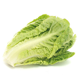 Lettuce خس /Pcs