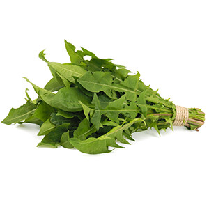 Chicory - هندبة /Pc