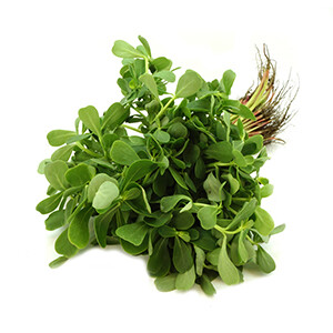 Purslane - بقلة /Pcs