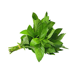 Mint - نعنع /Pcs