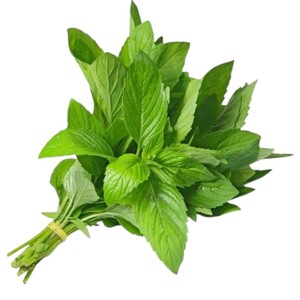 Mint - نعنع