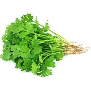 Coriander - كزبرة /Pcs