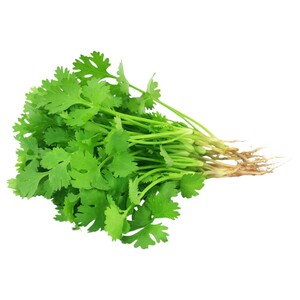 Coriander - كزبرة