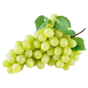Grape Maghdouche