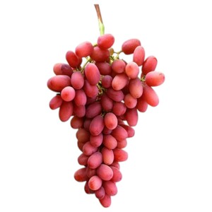 Grape Crimson
