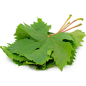 Grape Leaves