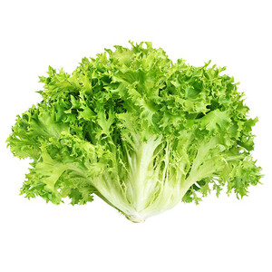 Lettuce Frise