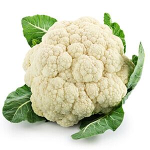 Cauliflower Promo - زهرة عرض