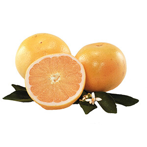 Pink Grapefruit
