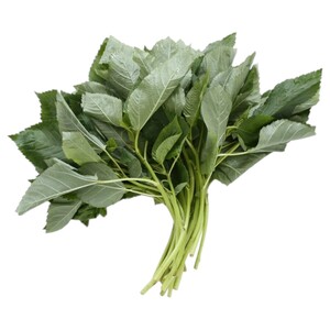 Mloukhiye Leaves