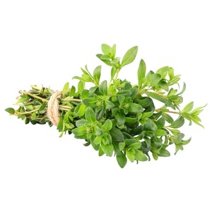 Wild Thyme