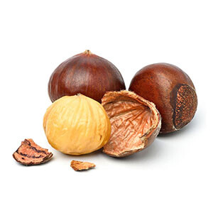 Chestnut (Castana) Turky Extra