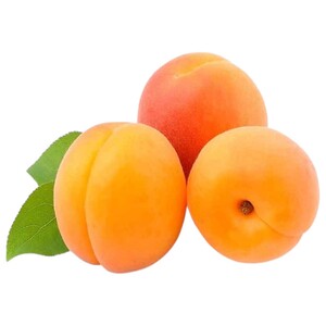 Apricot Extra