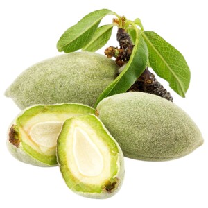 Almond Fresh لوز اخضر