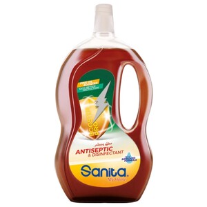 Sanita Antiseptics & Disinfects Liquide 600Ml